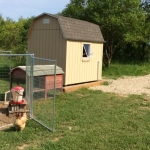 *x10 Chicken Coop with predator proof windows